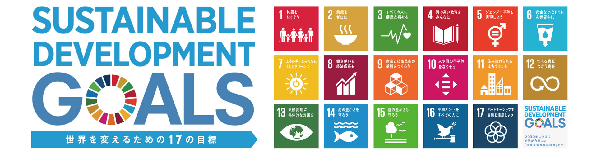 Initiatives for SDGs